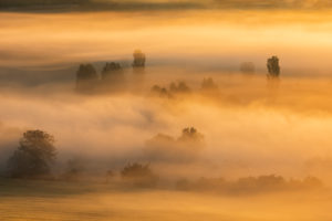 Morgennebel bei Sonnenaufgang leuchtet im ersten Licht, Bäume ragen aus dem Nebel, Unstruttal, Freyburg (Unstrut), Sachsen-Anhalt, Deutschland Morgennebel bei Sonnenaufgang leuchtet im ersten Licht, Bäume ragen aus dem Nebel, Unstruttal, Freyburg (Unstrut), Sachsen-Anhalt, Deutschland